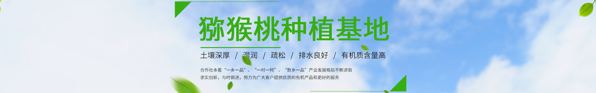 2025年初最新最全梦幻西游sf发布网站